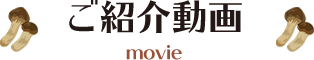 ご紹介動画