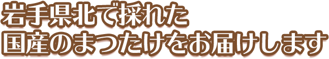 岩手県北で採れた国産のまつたけをお届けします